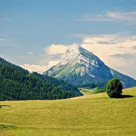 French Alps