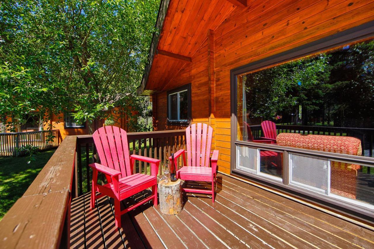 Family Room - Pet-Friendly