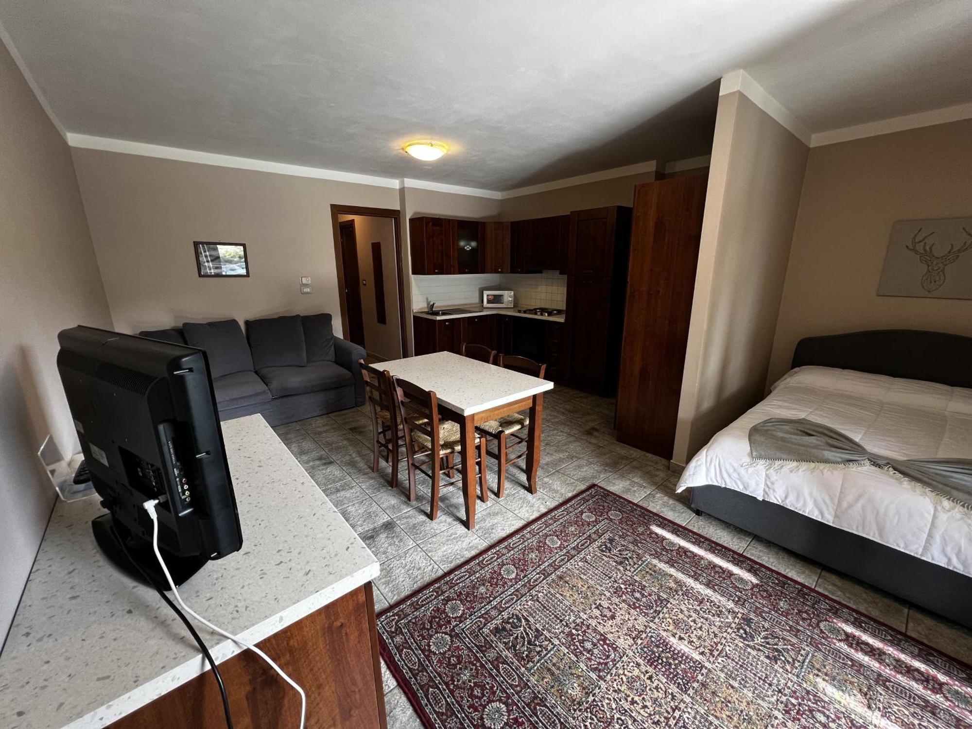 One-Bedroom Apartment Mountain View