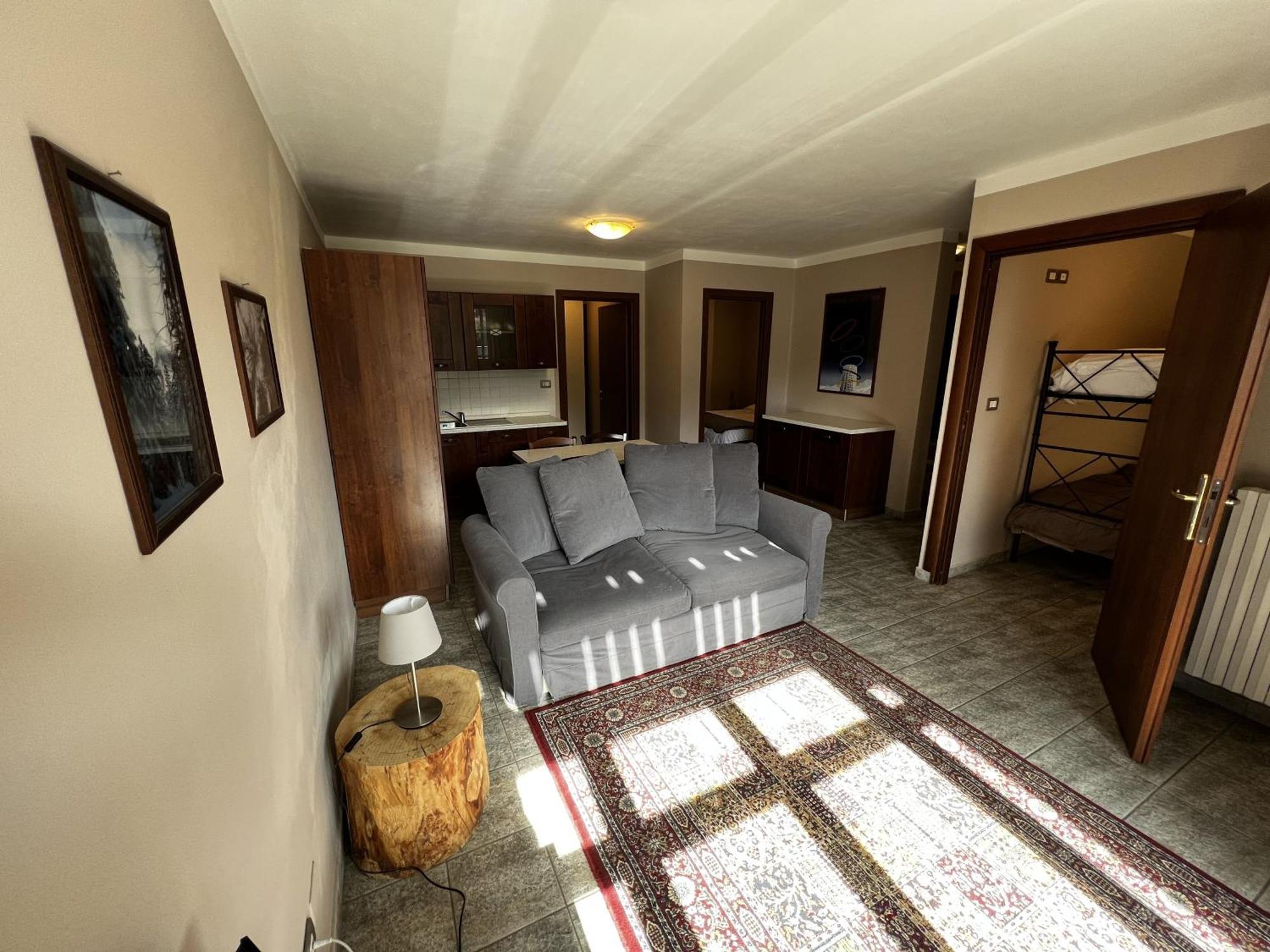 Large One-Bedroom Apartment Mountain View