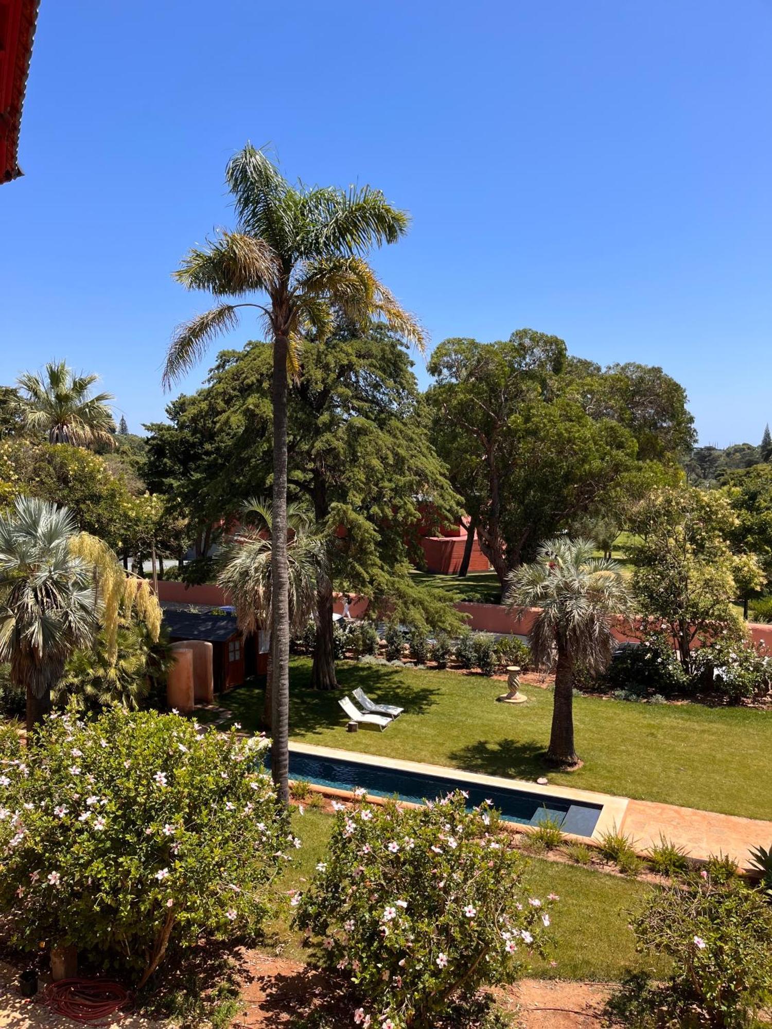 Superior King Room with Garden View,1558385098:JPEG