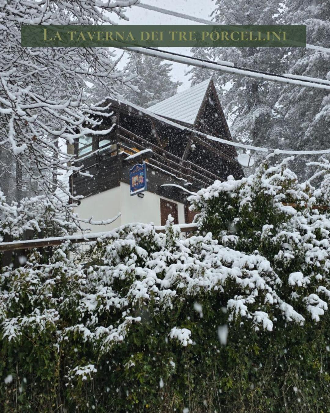 Superior Chalet