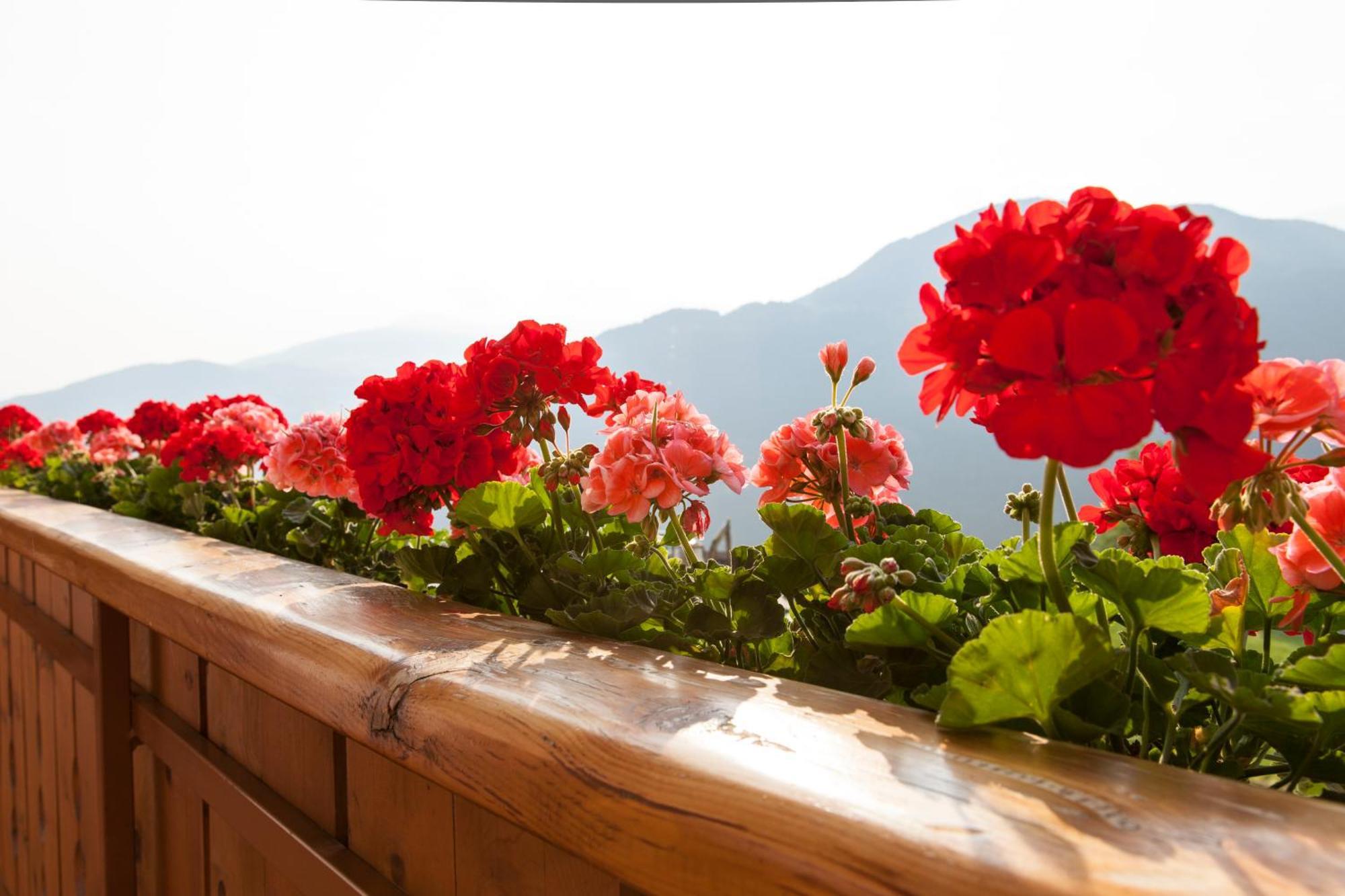 One-Bedroom Apartment Balcony Mountain View