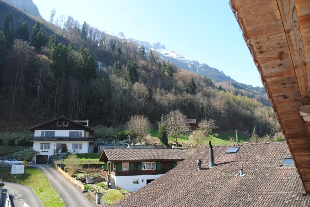 Standard Double Room Mountain View
