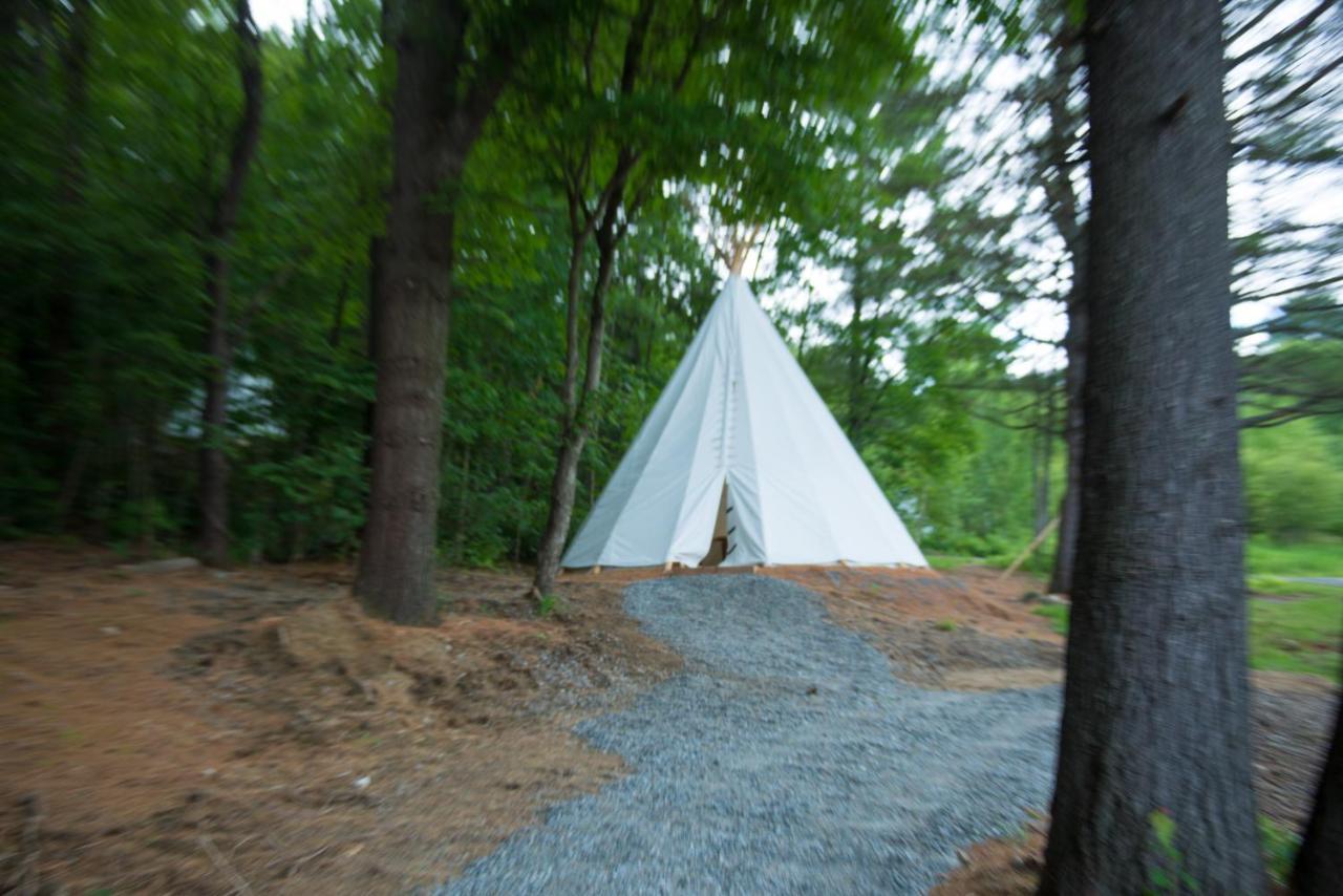 Tipi,970688239:JPEG