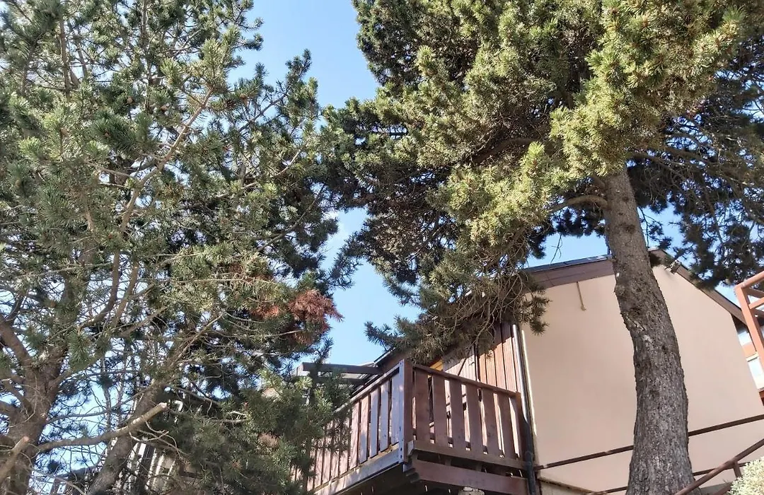 chalet de l ours-1