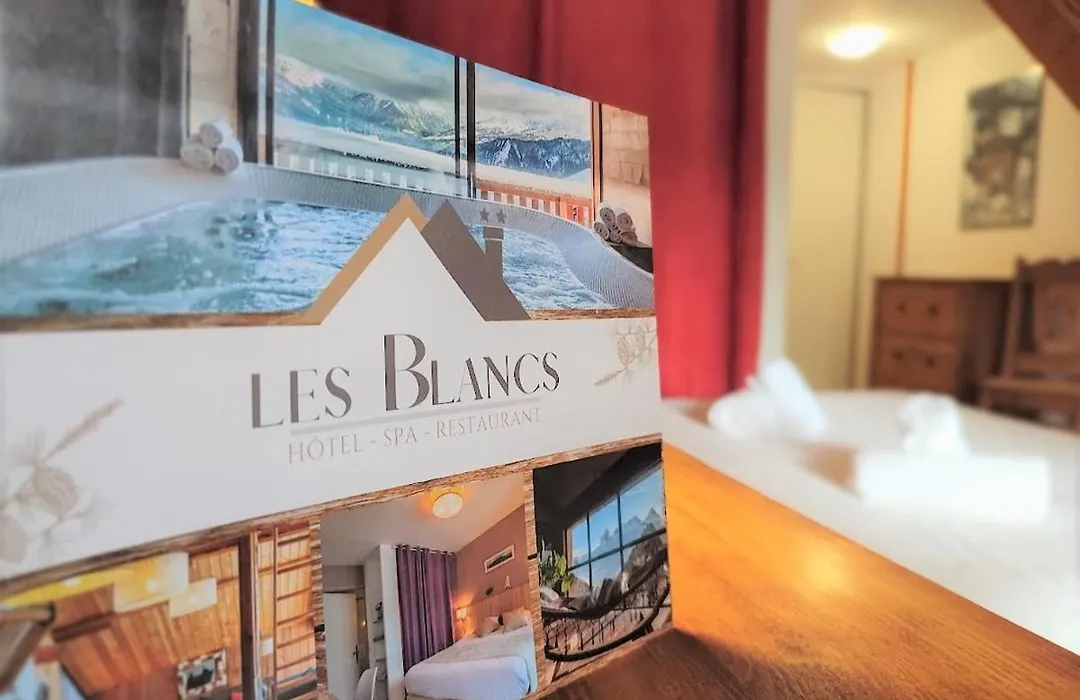 Chalet Hotel Les Blancs-1