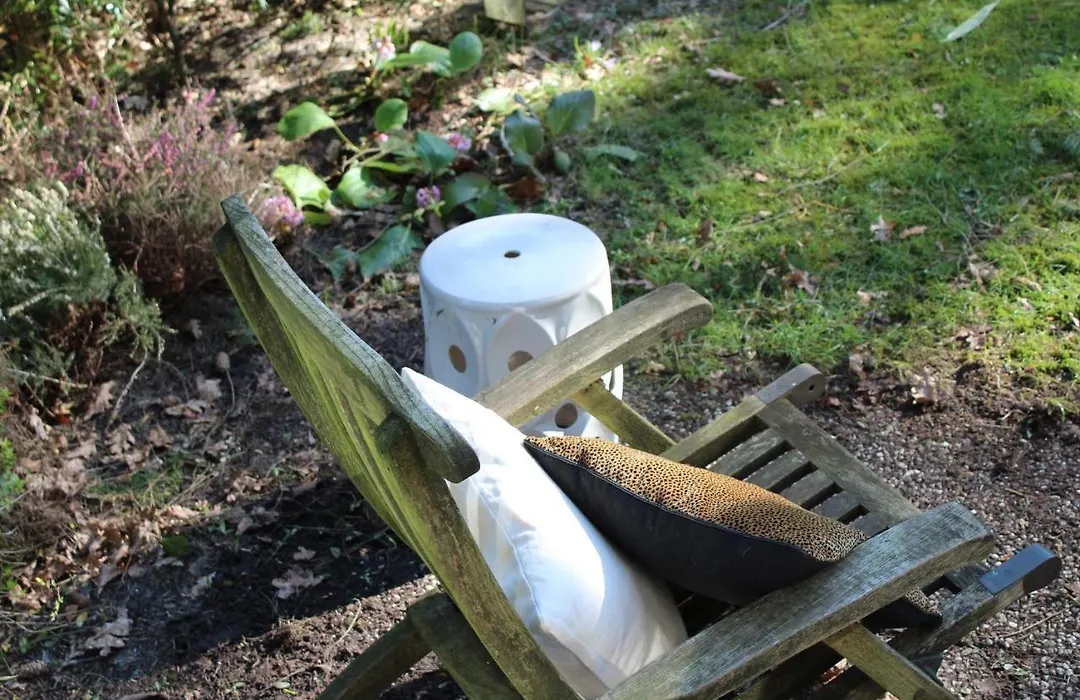 Sfeervol vakantiehuisje in bosrijke omgeving-1