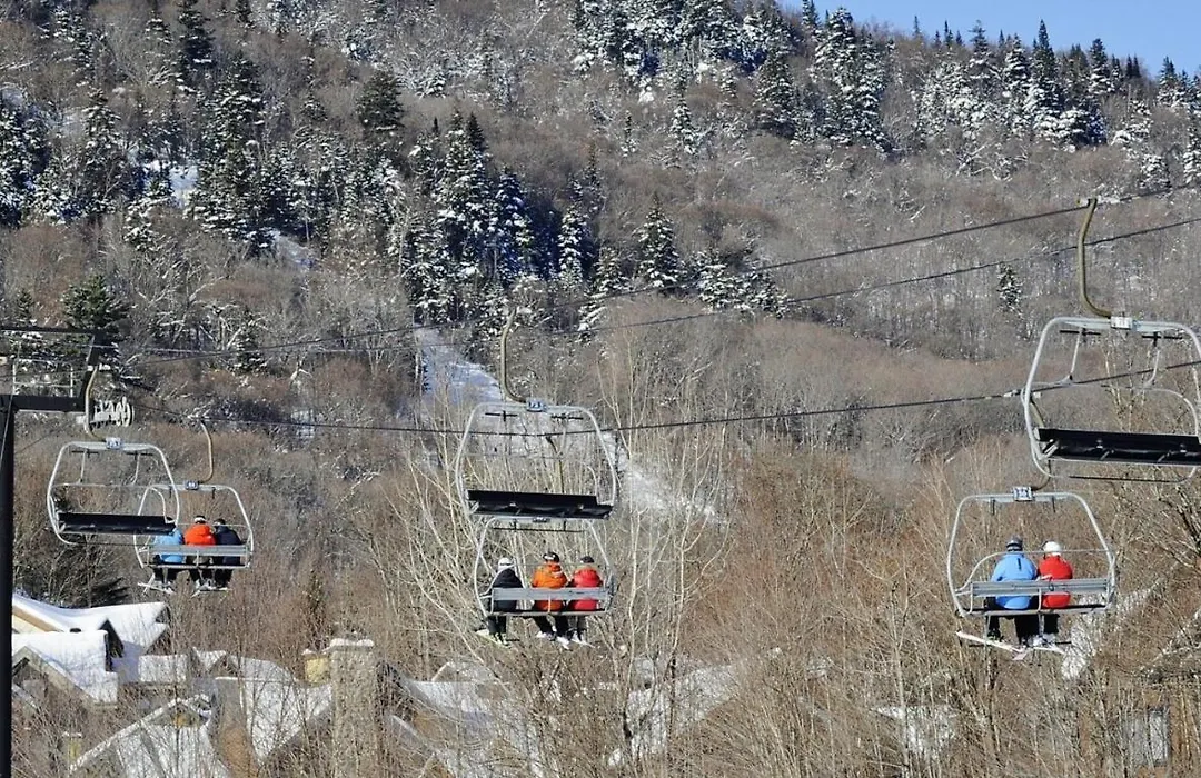 Chalet- 10 Chemin Alpin-1