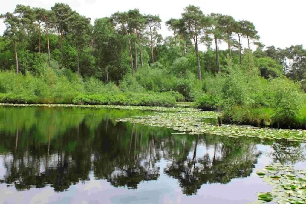 Natuurhuisje Oisterwijk Valkenbosch-1
