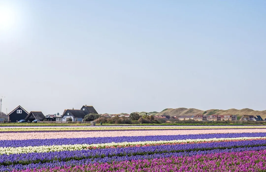 Chalet Luttikduin Nr 15 - Callantsoog aan Zee-1