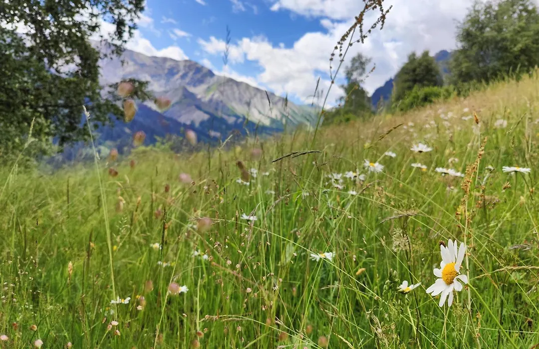 Chalet Savoiage-1