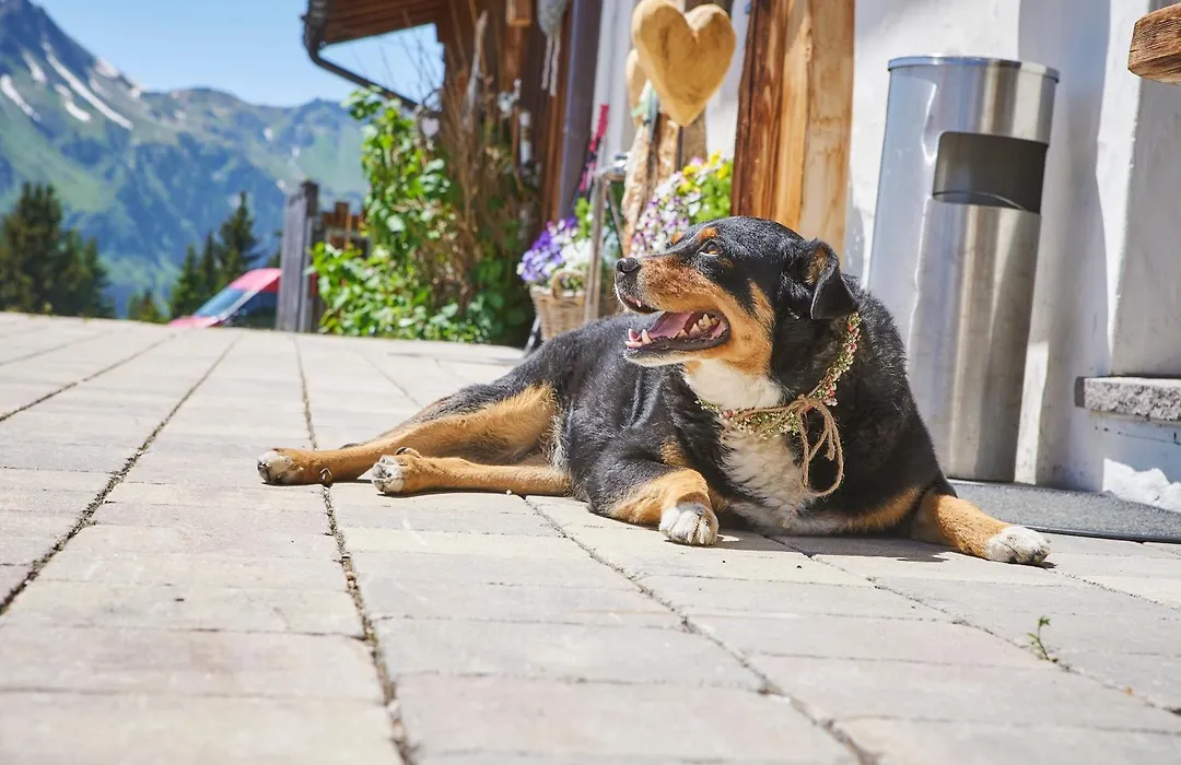Wallegg Lodge - Alpine Premium Chalet - Ski In-Ski Out - Real Alpine Location Saalbach-1
