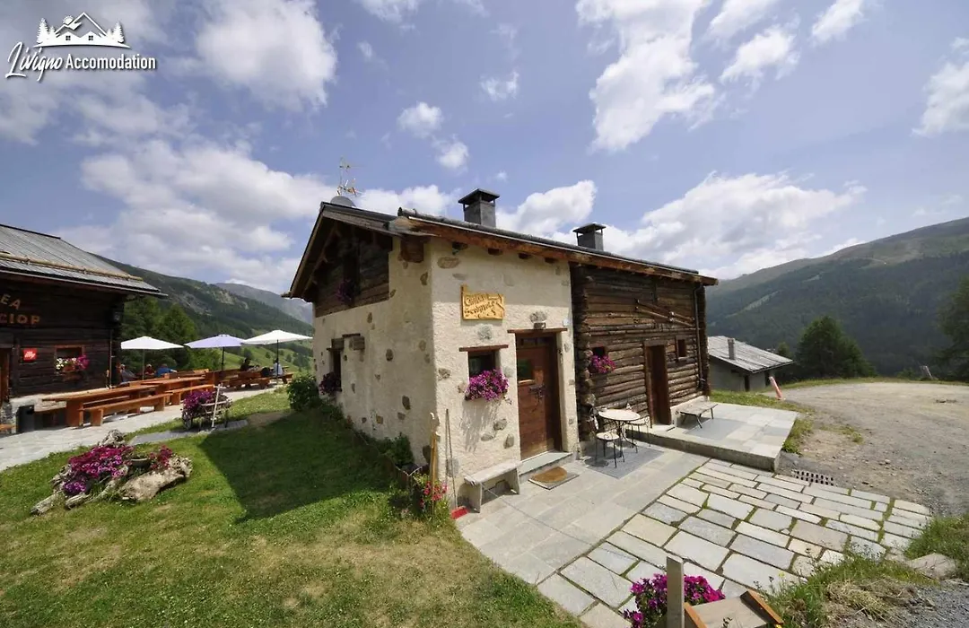 Mountain Chalet Scoiattolo by Livigno Accomodation-1