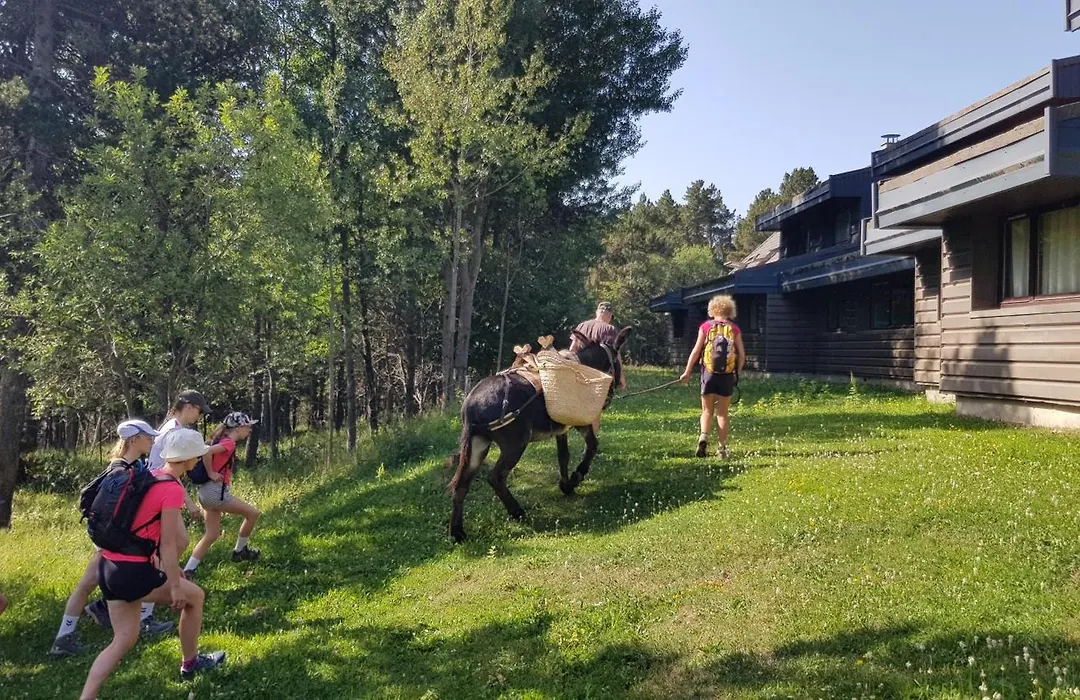 Le Chalet Du Ticou-1