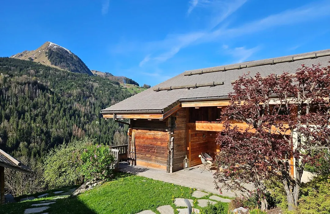 Chalet les Brevins-1