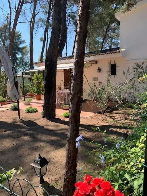 Chalet Felicita con giardino Immerso nel bosco-1