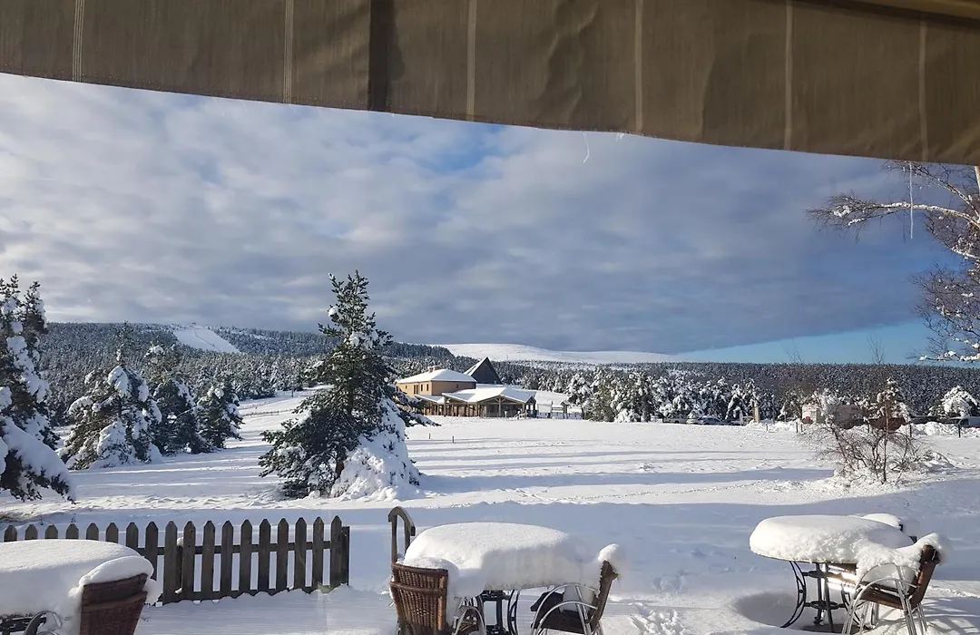 Chalet Hôtel du Mont Lozère-1
