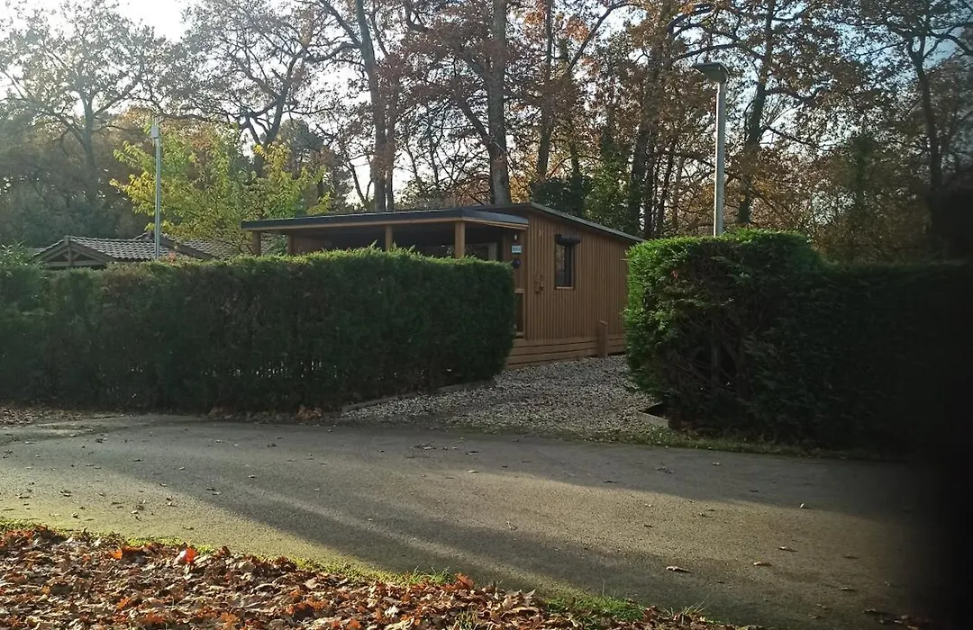 Chalet RUISSEAU 02-1