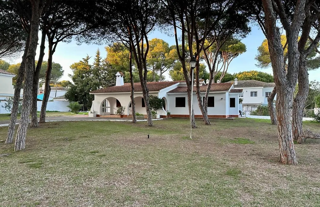 Pinos Verdes-1