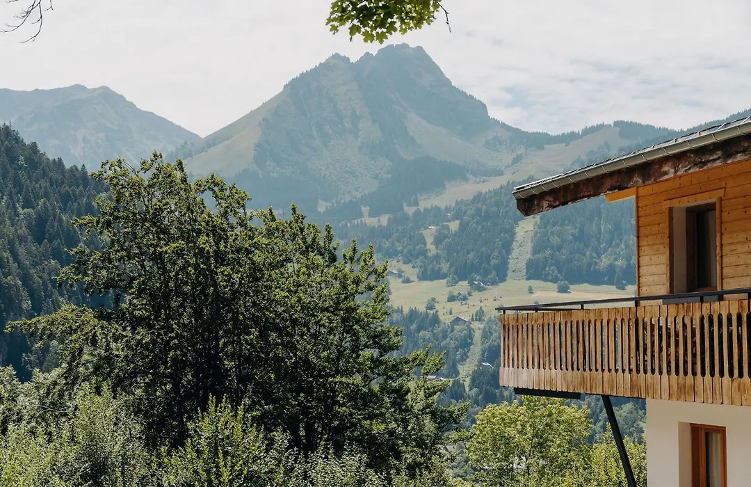 Chalet Flachaire-1