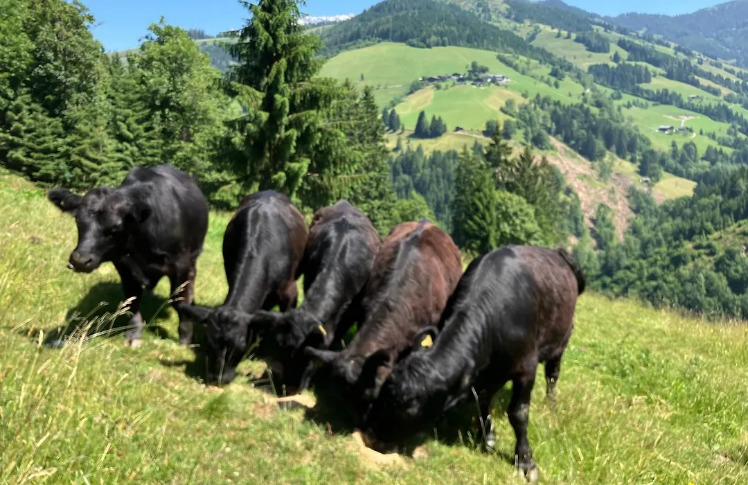 Riedlfeld Chalet-1
