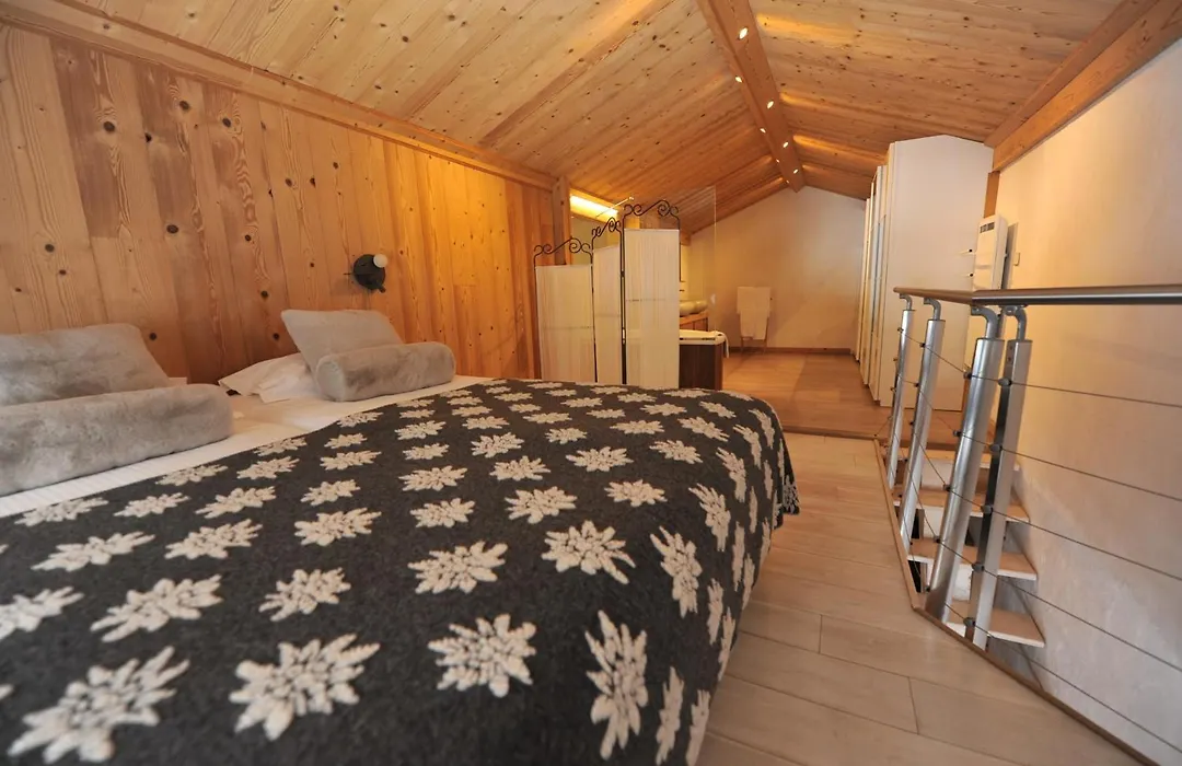 Chalet-Hotel La Chemenaz-1