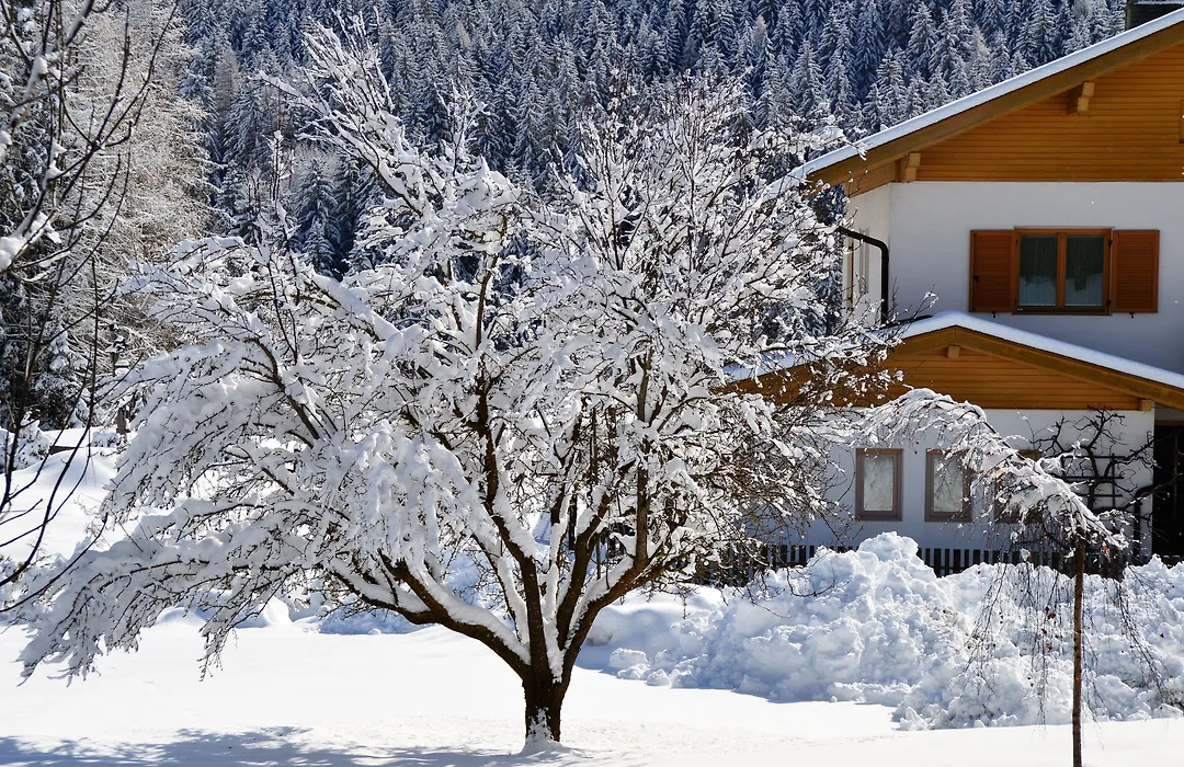 Hotel Chalet Olympia-1