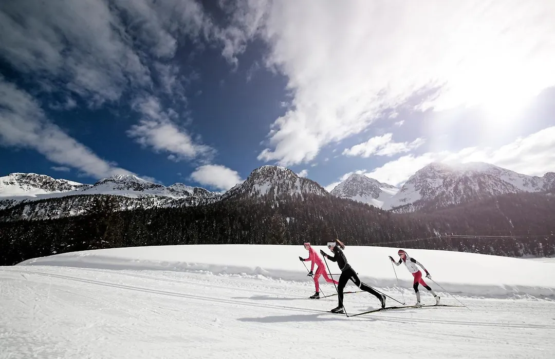 Chalet Aster-1