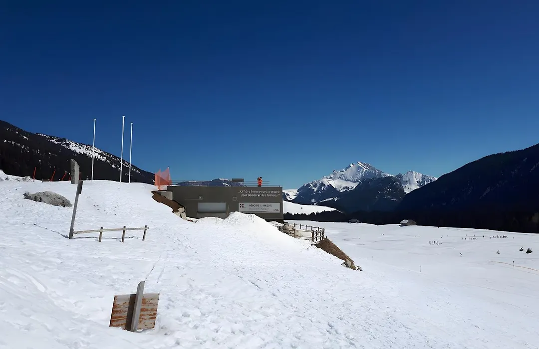 Le Chalet Des Pesettes-1