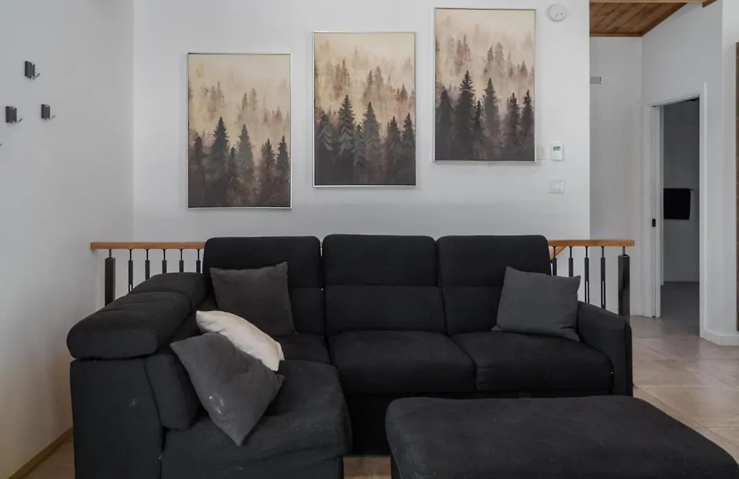 307 ch. Lac-Dion, Saint-Damien-1