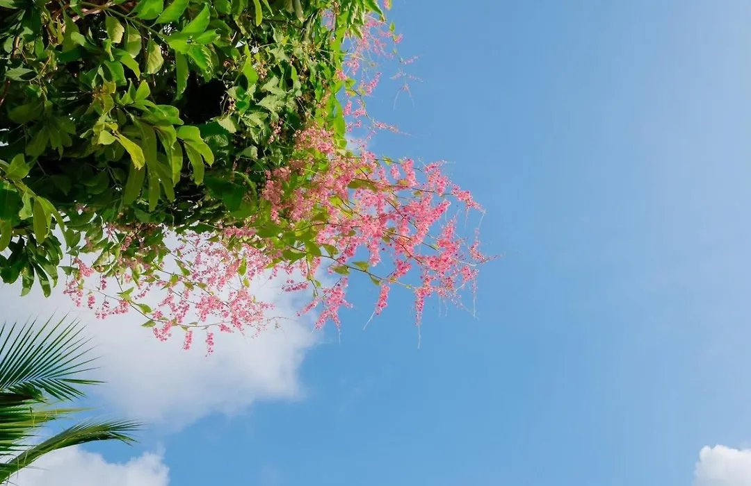 Phi Phi Phu Chalet Resort-1