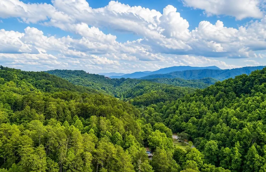 A Cabin To Remember, Free Tickets, No Catch!-1