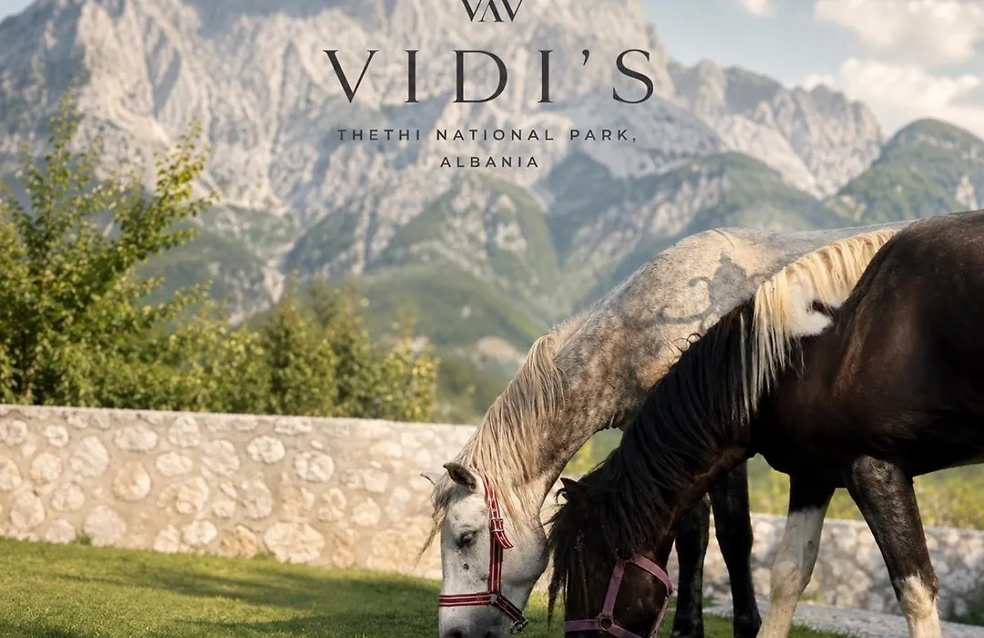 Vidis Chalet Boutique Hotel-1