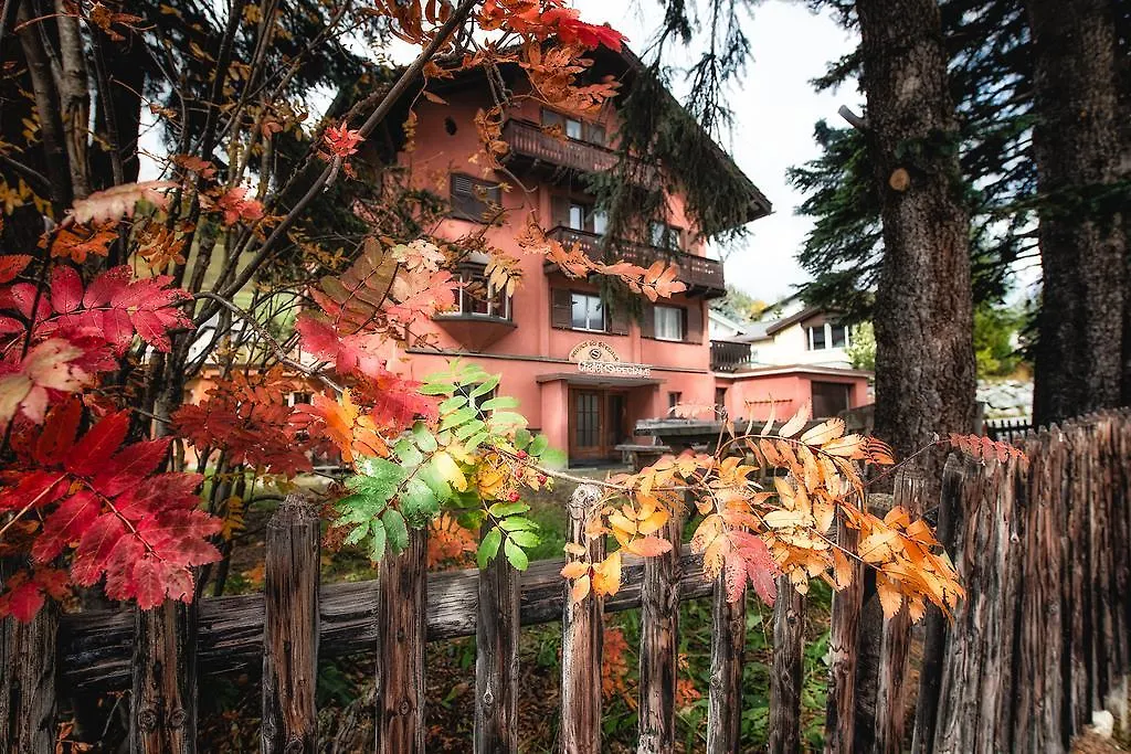 Chalet Speciale - Celerina-1