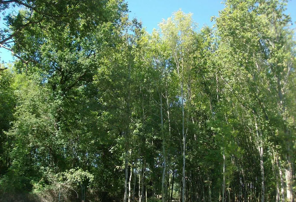 Le Chalet Des 4 Saisons-1