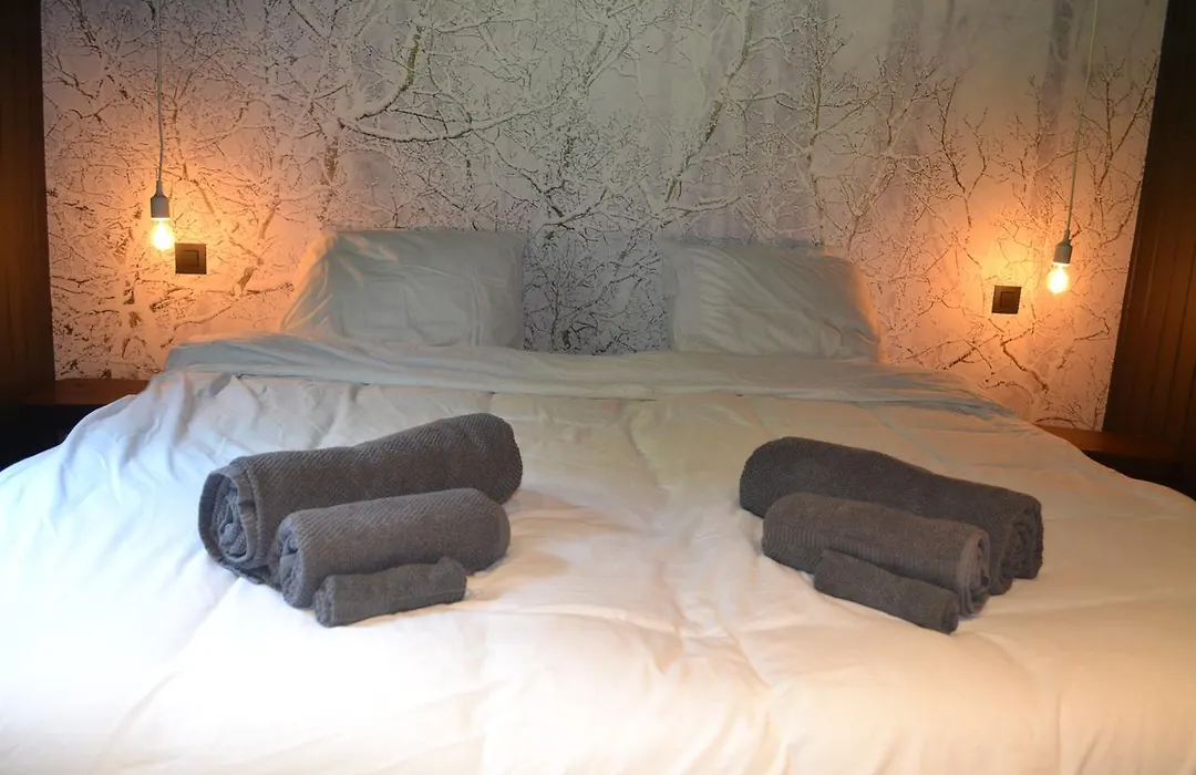 Chalet Le Forestier-1