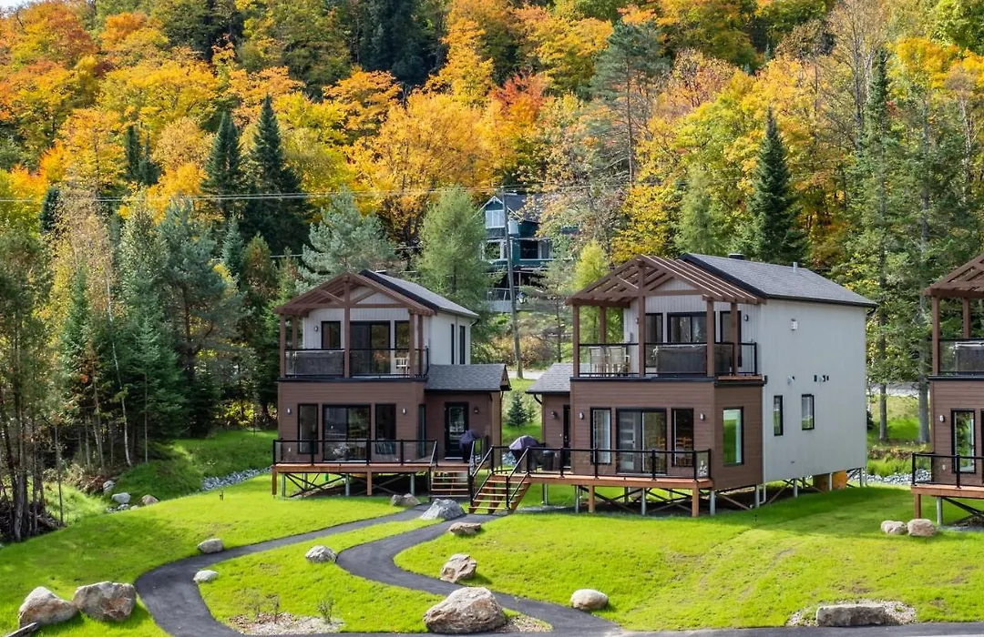 Les Chalets Sauvignon-1