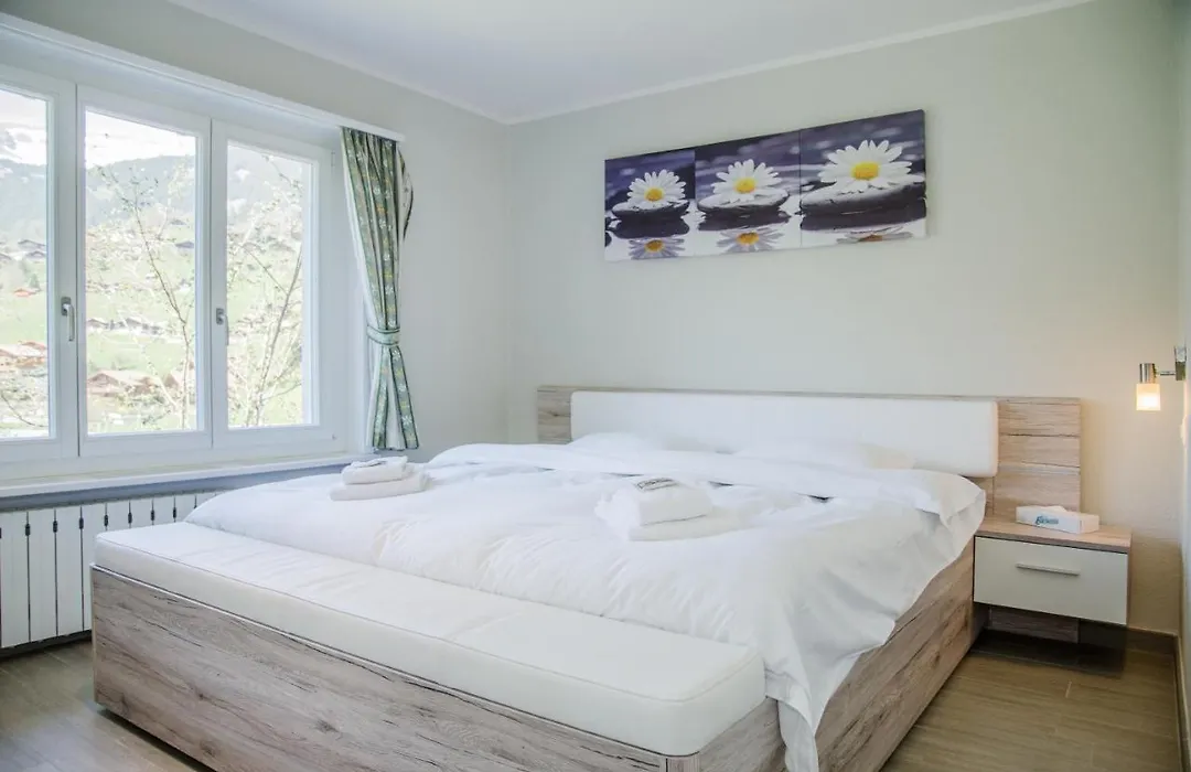 Chalet Dolphin New!-1
