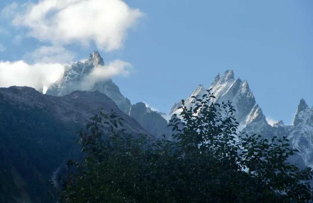 Chalet Les Lupins-1