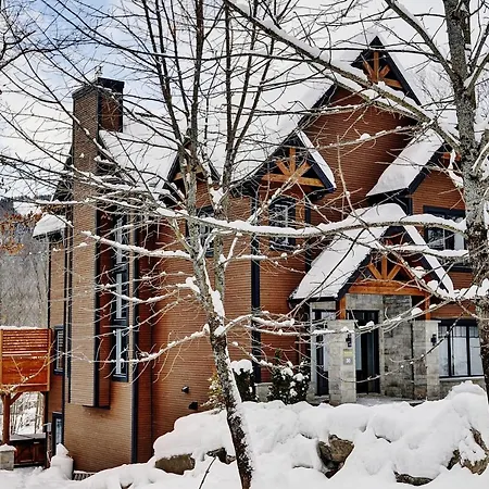 Chalet 30 Chemin des Skieurs by Chalets Alpins-3