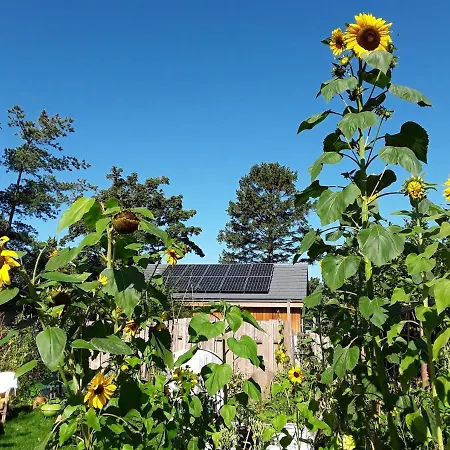 Ecolodge de Parel Schoorl-3