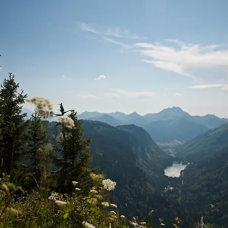 Chalet sur les monts Morzine-2