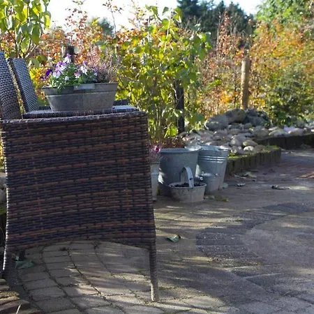 De Schaapskooi - Knus Veluws vakantiehuisje-2