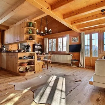 Chalet Soldanella 10 Guests Gstaad-3