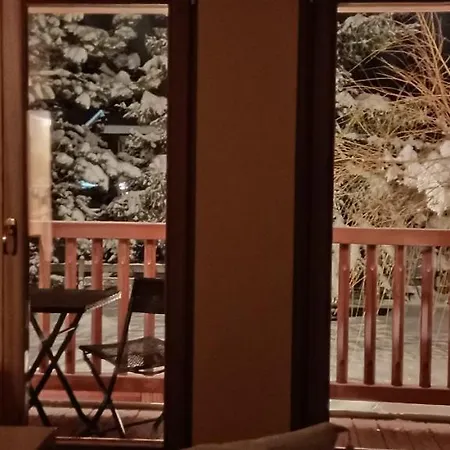 Chalet Alpina Hotel & Apartments-3