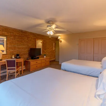 Mountain Chalet Snowmass-2