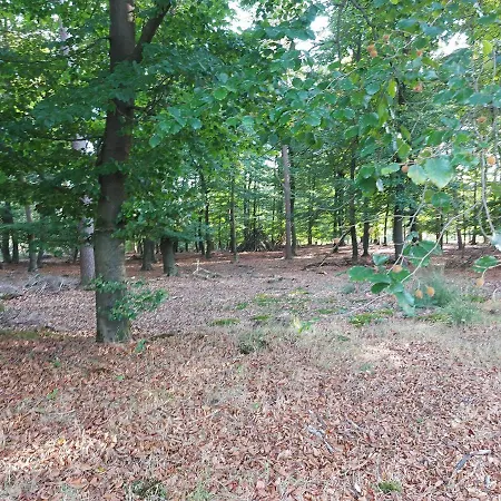 Chalet Wanama. Gelegen op het vakantiepark Het Lierderholt op de veluwe.-3