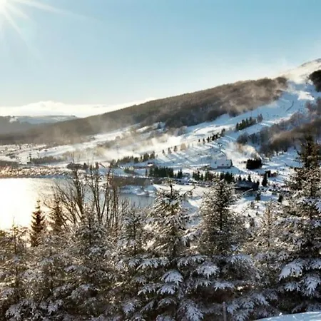 Le 77 - chalet nature proche S.Besse-2