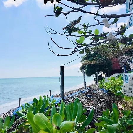 Lamai Chalet-3